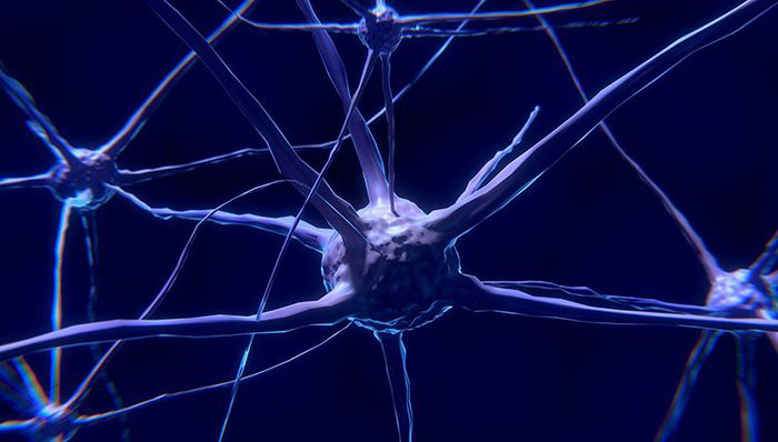 Image: nerve cell