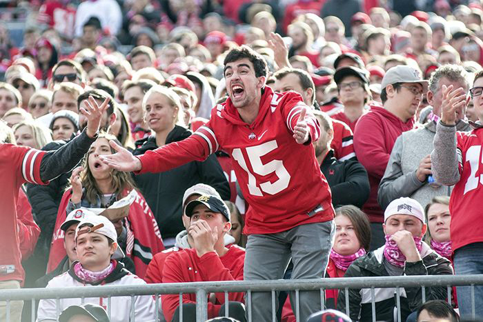 Image of cheering fan in stands.