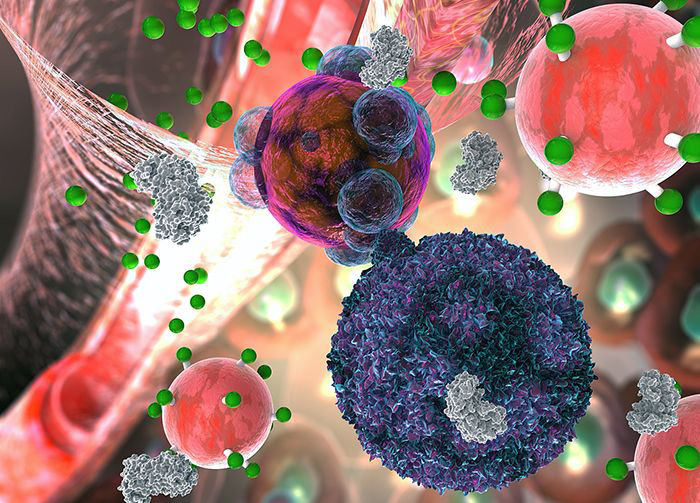 Image: Bionanoparticle detects the slightest sign of transplant organ rejection