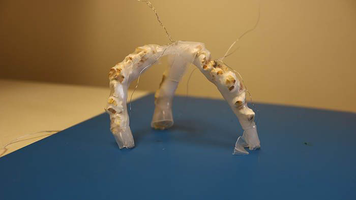 Popcorn-powered robot