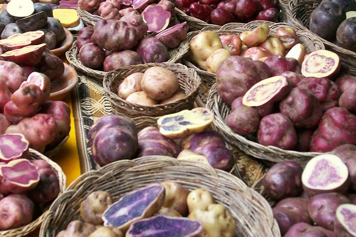 Potatoes