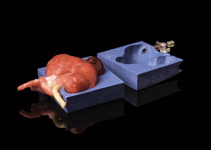 practice organ