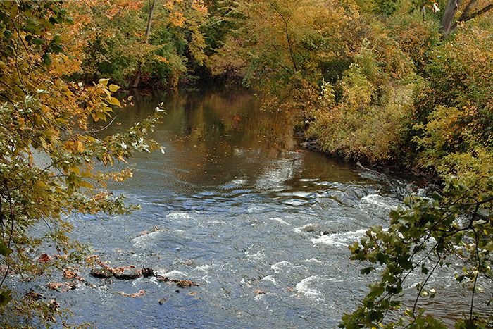Red Cedar River