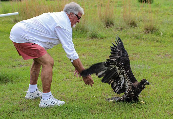 releasing-eagle-700x480-compressor.jpg