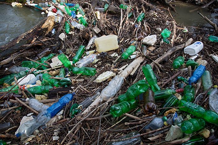 Maine debris on a beach