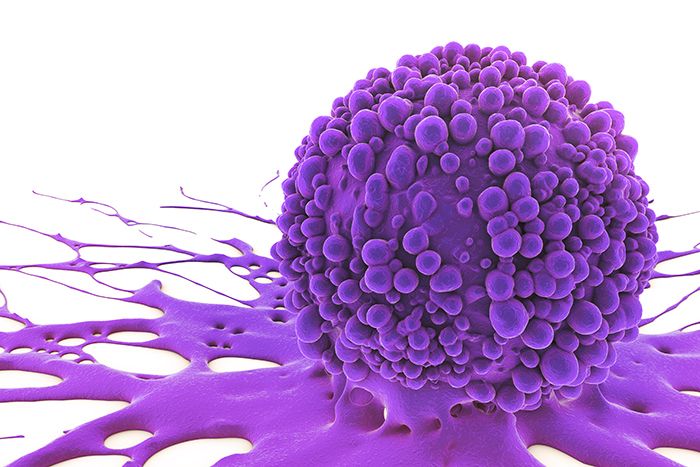 cancer cell