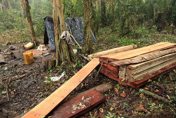 Photo of deforestation in Uganda