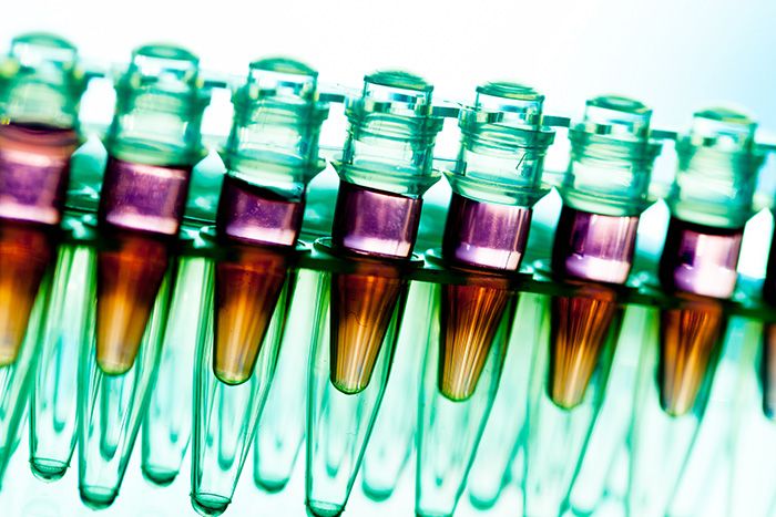 Rack with RNA