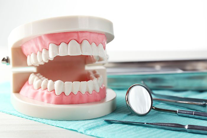 White teeth model