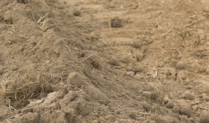 Image of soil