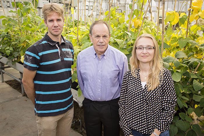 Stephen P. Long, Johannes Kromdijk, and Katarzyna Glowacka