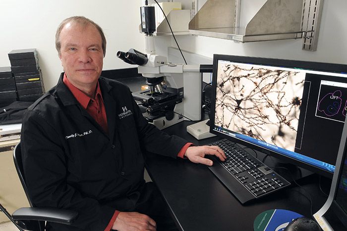 Professor Tim Collier