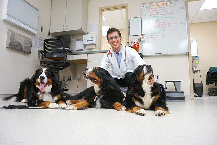 Dr. Paulo Vilar, head of oncology at MSU's College of Veterinary