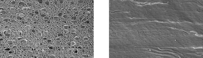 wood-compare-700x200-compressor.png