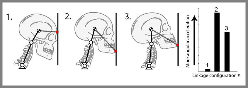woodpecker_Fig3_846x300-compressor.jpg