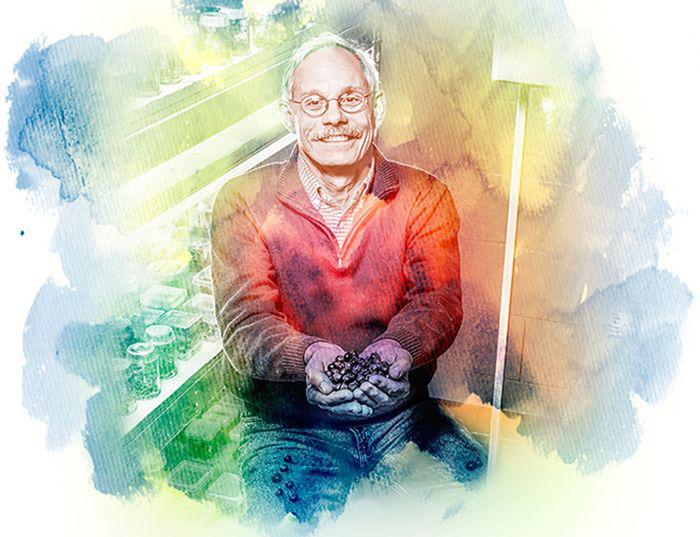 James Hancock