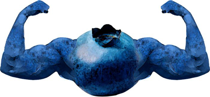 body-image-700x326-compressor.jpg