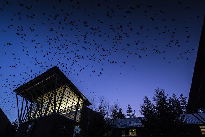 UW Bothell’s science building