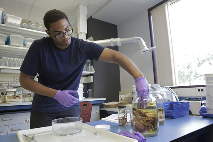 Jared Richards removes an octopus from a jar for examination.