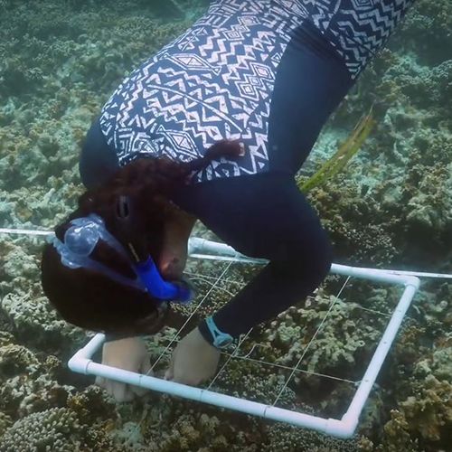 Student counting coral