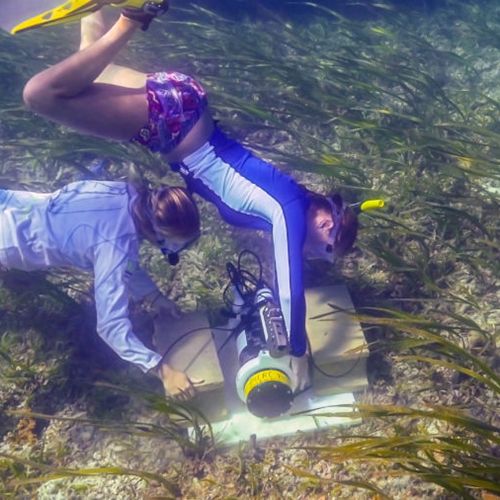 Holly Francis and Heidi Hirsh carry out a research project in seagrass bed.