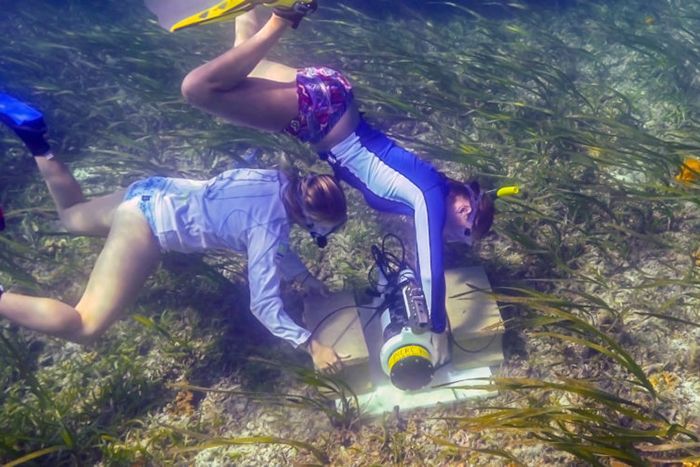 francis-hirsch-palau-700x467-compressor.jpg