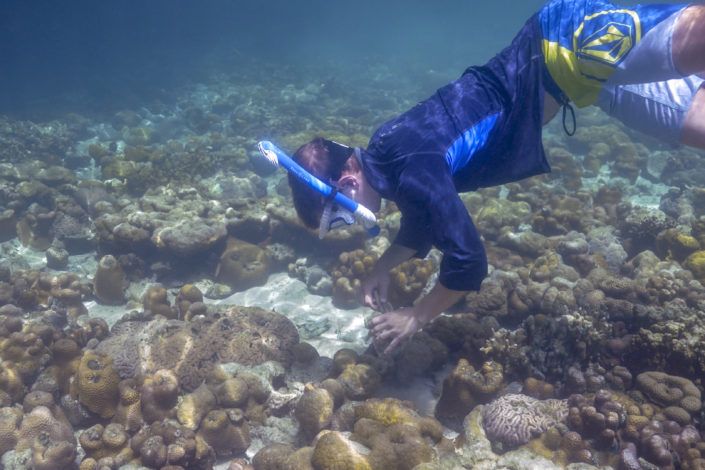 palau-diver-coral-700x467-compressor.jpg