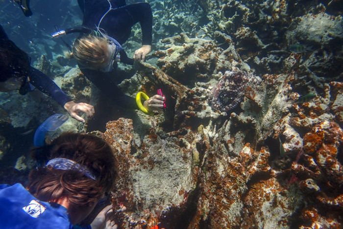 palau-rosegarden-700x467-compressor.jpg