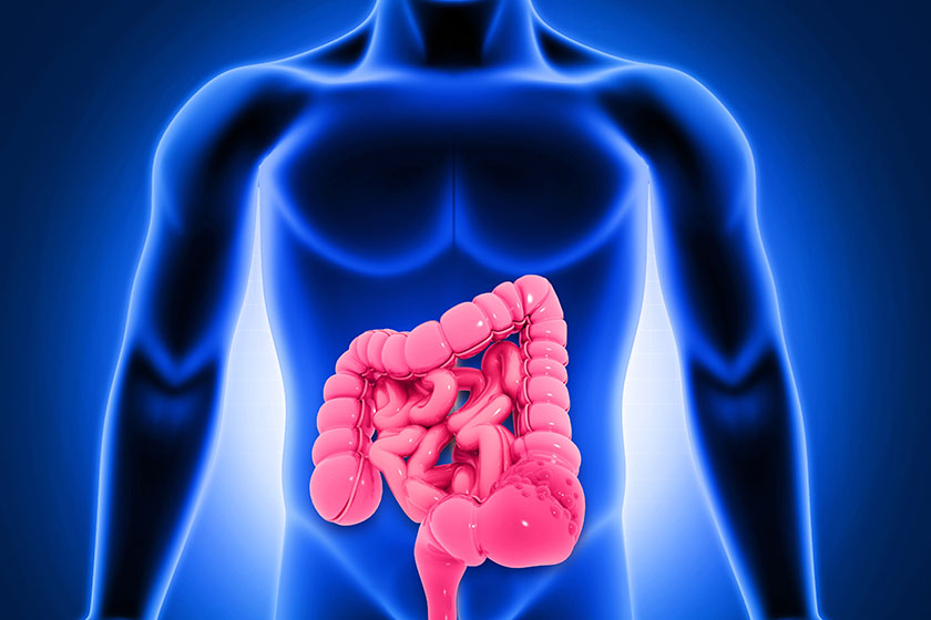 AI Tool Predicts Colon Cancer Survival, Treatment Response