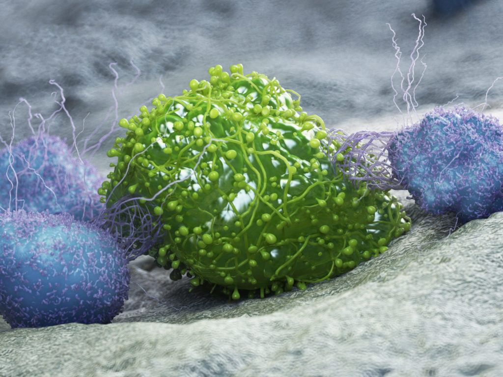 "Texas A&M Researchers to Further Develop Unique Cancer Drug With $2.3 Million NIH Grant; Preliminary data indicates the compounds act as an immunotherapy and kill tumors while also rejuvenating the immune system."