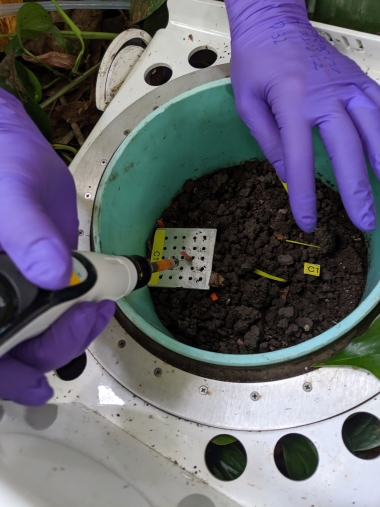 "Soils in drought stress leak more volatile organic compounds into the atmosphere"