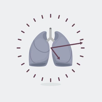 Uncovering How the Biological Clock Impacts Lung Health; digital illustration of a clock with a pair of lungs in the center