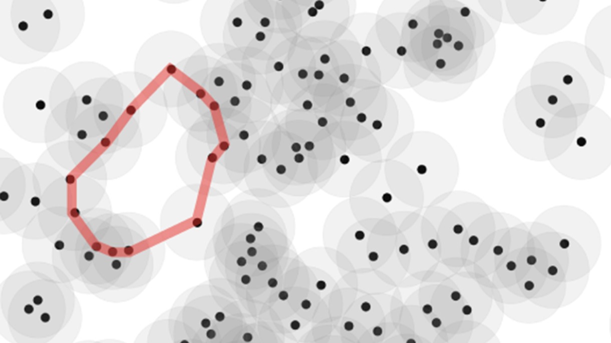 Using Topology, Brown Researchers Advance Understanding Of How Cells Organize Themselves