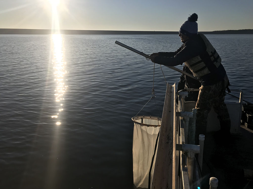 Global Study Details Microplastics Contamination in Lakes and Reservoirs