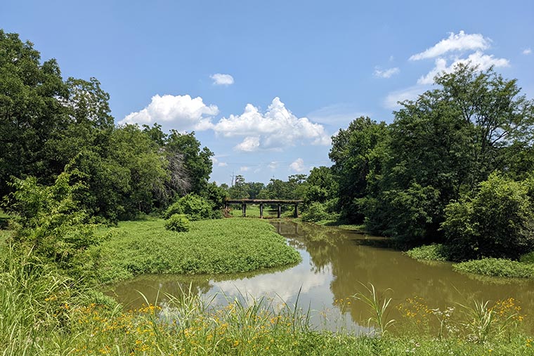 "Parasitic Infections Common in Kids in Low-Resource US Communities, Study Finds; photo of Mississippi Delta marsh"
