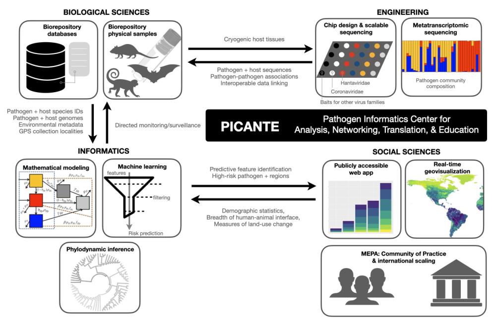 "Researchers Plan Center to Track Mammal Pathogens in the Wild to Warn of Coming Pandemics; Schematic of project integration across the four NSF directorates: engineering (ENG), biological sciences (BIO), social sciences (Social, Behavioral, and Economic sciences, SBE), and informatics (Computer Information Science and Engineering, CISE)."
