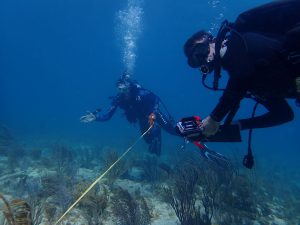 "UF-led research gets help from NFL player and an Air Force veteran to restock sea urchins on coral reef; Mack Hollins, left, deploys a measuring device to help survey for urchins on Rainbow Reef. Courtesy, Lad Akins"