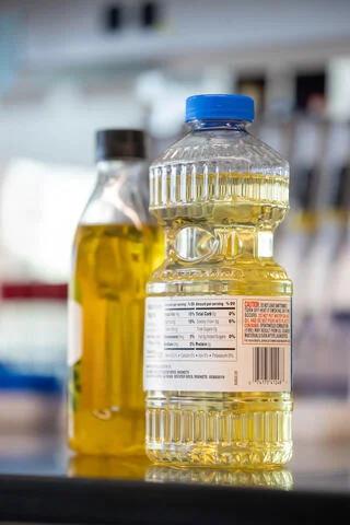 "Widely consumed vegetable oil leads to an unhealthy gut"