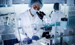 Researcher in lab