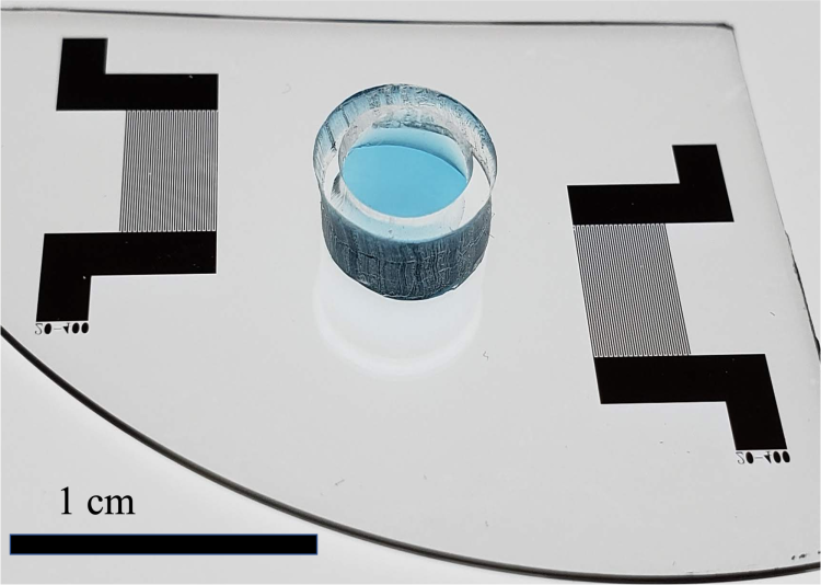 "New ‘gym-on-a-chip’ for worms may lead to new Parkinson’s treatments; photo of "Gym-on-a-chip" with a liquid pool at the center. (Credit: Xiaoyun Ding)"