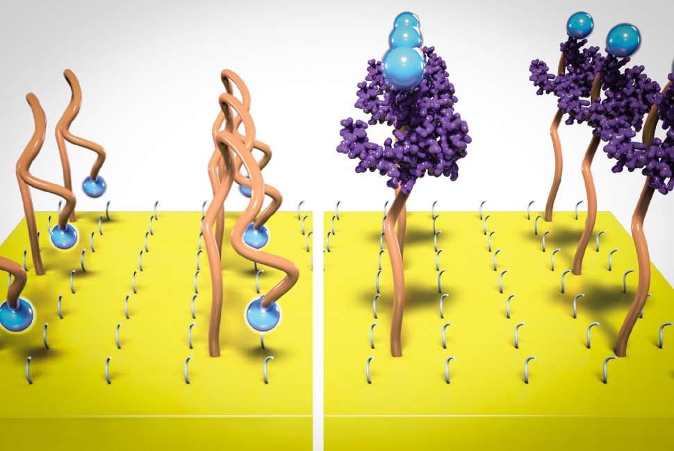 Plastic Transistor Amplifies Biochemical Sensing Signal;