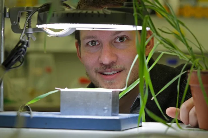 "Is there a link between climate change and plant nutrition; Michigan State University Assistant Professor Berkley Walker. Credit: Joerg Mueller"