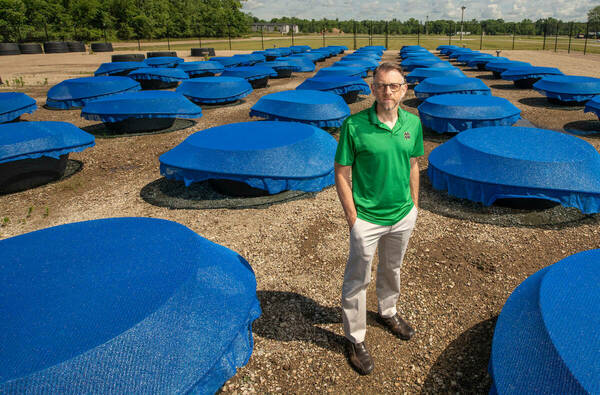Human Activities Cause for Buzzkill: Notre Dame Biologist’s Research Determines Insects Are on the Decline