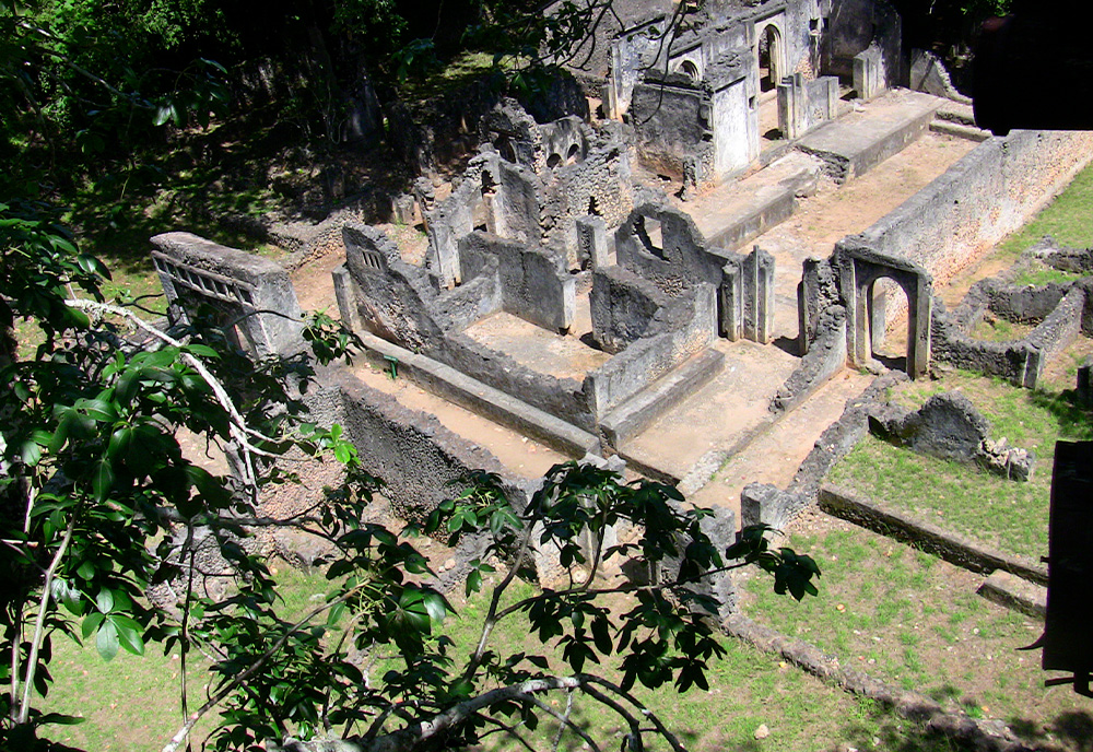 USF researcher’s life work uncovers the first ancient DNA from the Swahili Civilization