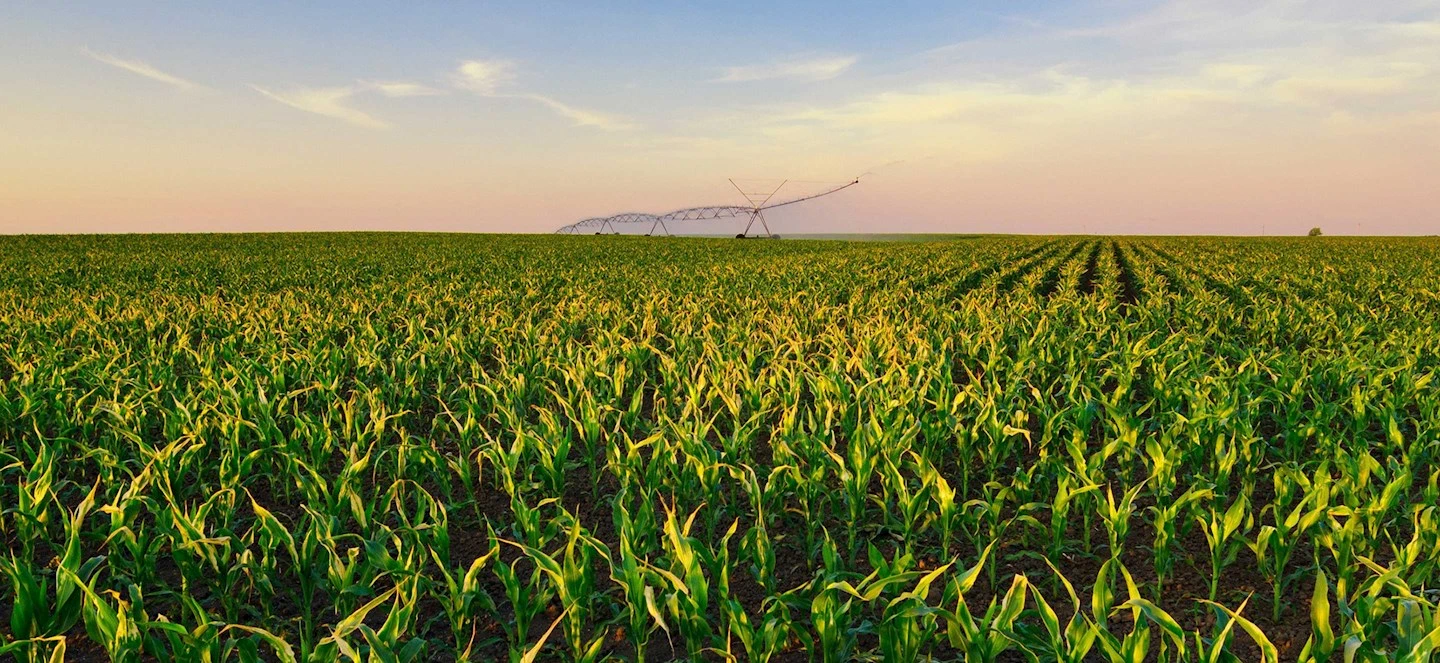 Increasing Crop Yield and Reducing Water Consumption With Precision Irrigation