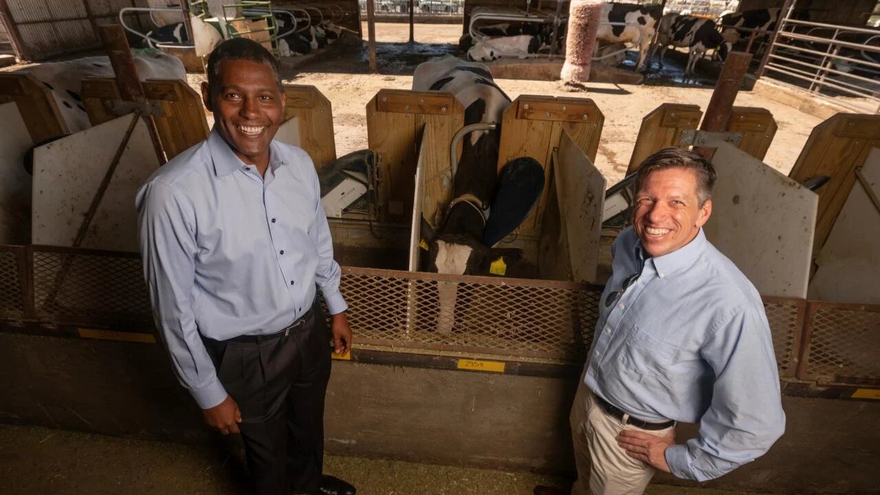 Can CRISPR Cut Methane Emissions From Cow Guts?; Ermias Kebreab, left, and Matthias Hess, right, with the College of Agricultural and Environmental Sciences, will work with UC collaborators to cut methane emissions from cow guts using the genome-editing tool CRISPR. The $70 million initiative is funded by TED's Audacious Project. 