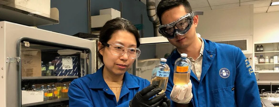 Biological Cleanup Discovered for Certain “Forever Chemicals”