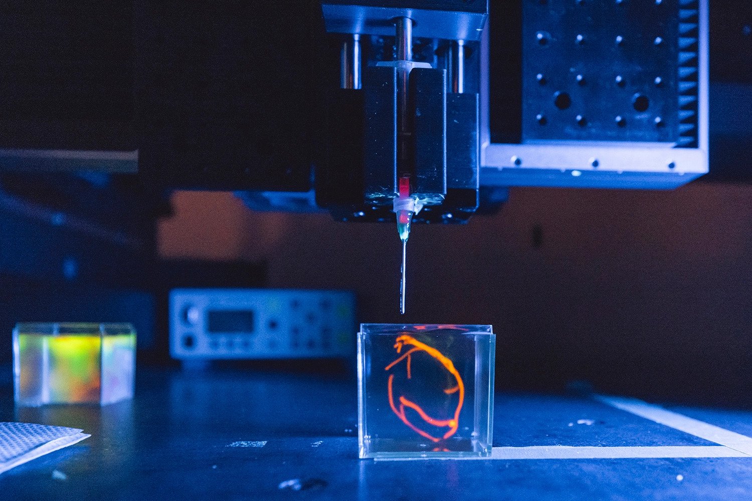 Moonshot Effort Aims to Bioprint a Human Heart and Implant It in a Pig
