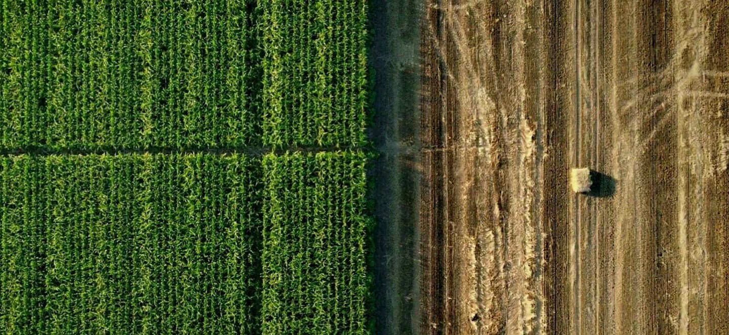 The future of agriculture: MSU researchers are developing sustainable solutions to feed a fast-changing world;