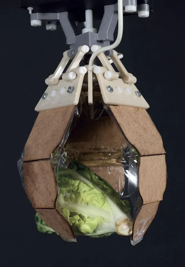 "Grad student helps design ‘artificial muscles’ you can toss in the compost bin; A prototype robotic gripper made from entirely sustainable componets. (Credit: MPI-IS)"